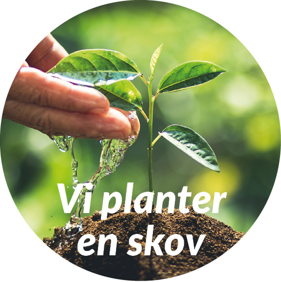 Vi planter en skov.png